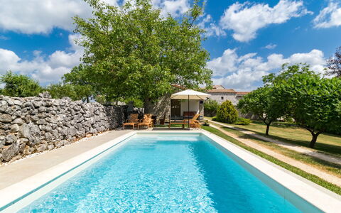 Tomazin: Water, Cloud, Sky, Plant, Daytime, Property, Botany, Nature, Azure, Natural Landscape