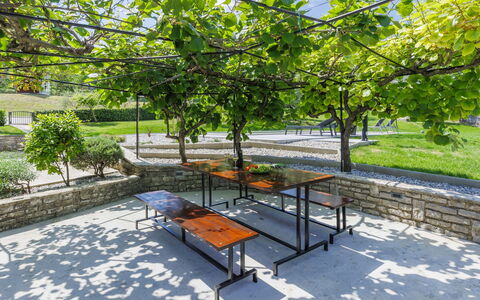 Carlo: Plant, Table, Outdoor Bench, Botany, Shade, Tree, Outdoor Furniture, Urban Design, Leisure, Road Surface