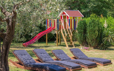 Gea: Plant, Nature, Tree, Shade, Land Lot, Wood, Grass, Chute, Leisure, Public Space