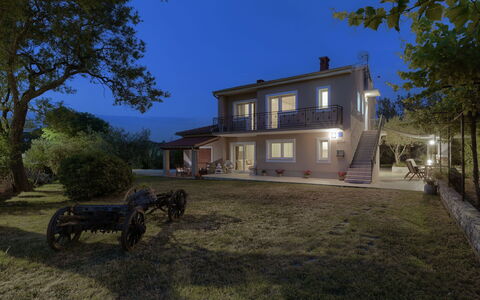 Gea: Building, Plant, Sky, Property, Window, Tree, Wheel, House, Road Surface, Land Lot