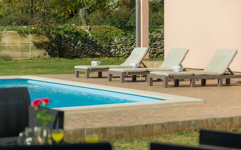 Vita: Swimming Pool, Property, Sunlounger, Outdoor Furniture, Furniture, Leisure, Backyard, Home, Tree, Design