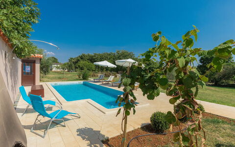Lancin: Water, Plant, Sky, Furniture, Swimming Pool, Outdoor Furniture, Shade, Building, Chair, Tree