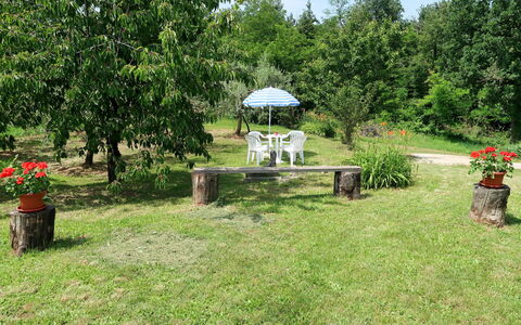 Fortica: Garden, Grass, Property, Yard, Lawn, Land Lot, Backyard, Botany, Tree, House