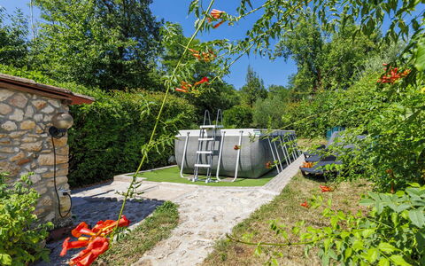 Paolici: Garden, Backyard, Landscaping, Park, Garden Buildings