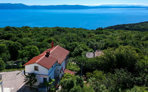 Adalgisa: Sky, Water, Blue, Ecoregion, Plant, Azure, Nature, Natural Landscape, Tree, Land Lot