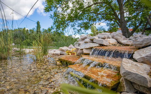 Angelina: Natural Landscape, Water, Natural Environment, Vegetation, Rock, Tree, Nature Reserve, Wall, Wilderness, Grass