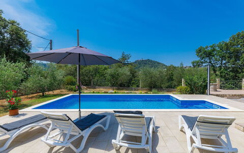 Carla: Sky, Water, Plant, Cloud, Furniture, Swimming Pool, Umbrella, Azure, Sunlounger, Tree
