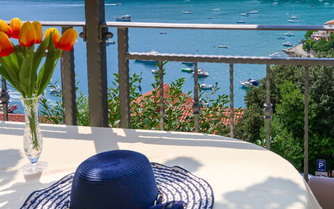 Klaudija: Water, Flower, Plant, Blue, Light, Nature, Azure, Outdoor Furniture