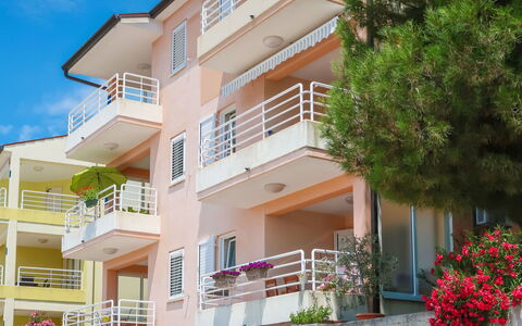 Egle: Building, Plant, Daytime, Property, Window, Sky, Architecture, Flower, Neighbourhood