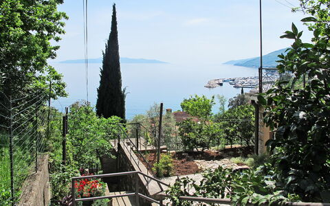 Hela: Vegetation, Tree, Botany, Plant, House, Garden, Architecture, Tourism, Plant Community, Vacation