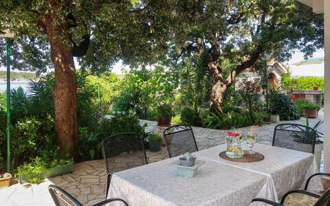Noa: Plant, Table, Furniture, Chair, Outdoor Table, Botany, Shade, Tree, Outdoor Furniture, Interior Design