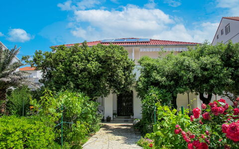 Noa: Cloud, Sky, Plant, Property, Plant Community, Building, Flower, Vegetation, Door, Grass
