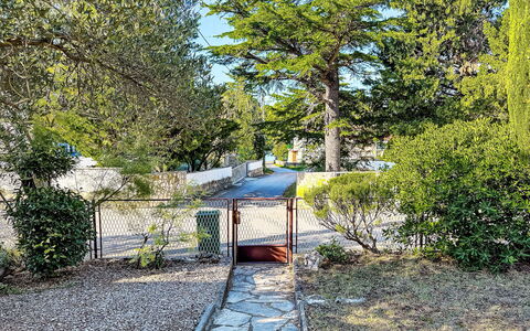 Gottwald: Tree, Leaf, Branch, Vegetation, Shrub, Garden, Spring, Woody Plant, Shade, Walkway