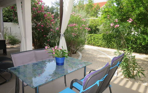 Katarina: Flower, Plant, Furniture, Table, Property, Chair, Nature, Azure, Botany, Outdoor Furniture
