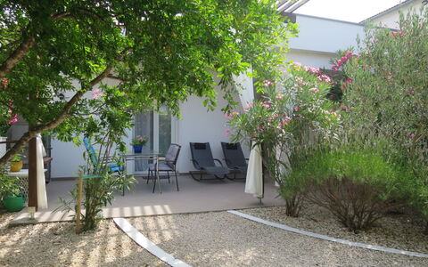 Katarina: Plant, Property, Plant Community, Building, Leaf, Road Surface, Outdoor Furniture, Chair, Shade, Flower