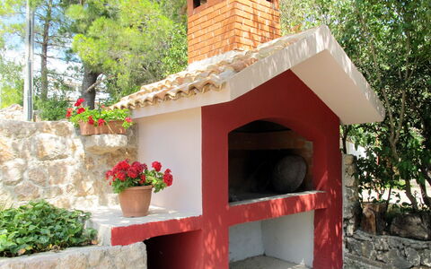 Mirjana: Plant, Flower, Botany, Tree, Flowerpot, Building, Cottage, Shade, Roof, Houseplant