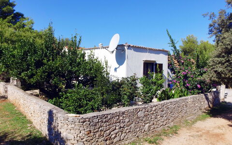 Lila: Plant, Sky, Building, Plant Community, Tree, Window, Cottage, Shade, Landscape, Shrub