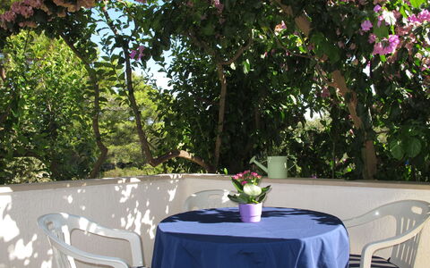 Lila: Table, Flower, Furniture, Property, Plant, Chair, Tableware, Outdoor Furniture, Interior Design, Shade