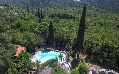 Podcempres: Water, Water Resources, Mountain, Plant, Plant Community, Sky, Nature, Natural Environment, Natural Landscape, Tree