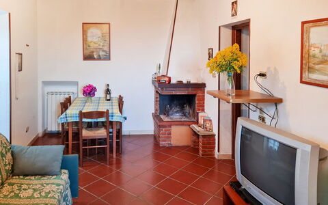 Agnese (Dol235): Picture Frame, Furniture, Table, Building, Houseplant, Couch, Flower, Wood, Television, Interior Design