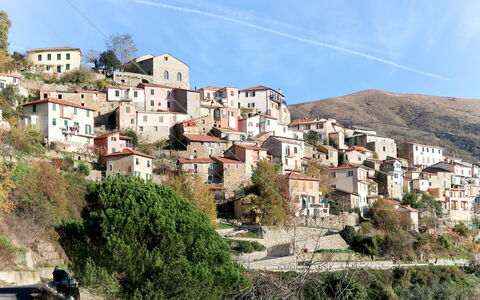 Serena (Cox100): Sky, Building, Plant, Window, House, Residential Area, Landscape, Tree, City