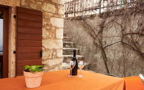 Braga 602: Plant, Bottle, Flowerpot, Building, Houseplant, Table, Wood, Window, Interior Design, Tablecloth