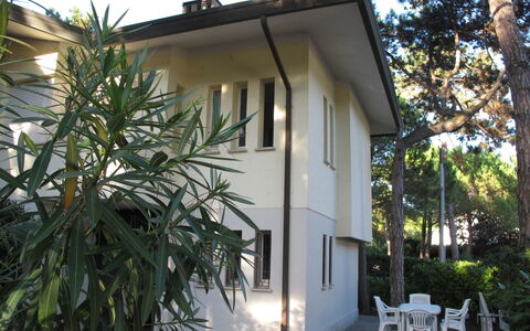 Villa Isolina: Plant, Building, Sky, Tree, Window, House, Shade, Arecales, Real Estate, Cottage