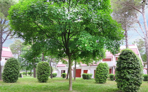 Villaggio Marina: Tree, Green, Woody Plant, Plant, Property, Leaf, House, Spring, Grass, Real Estate