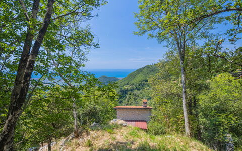 Vincio: Nature, Tree, Property, Nature Reserve, Vegetation, Natural Environment, Wilderness, Mountain, Sky, Forest