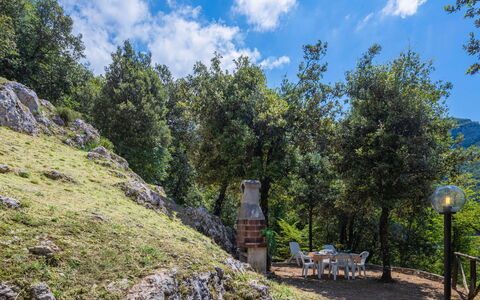 Vincio: Vegetation, Tree, Wilderness, Nature Reserve, Mountain, Biome, Wall, Forest, Rock, Hill