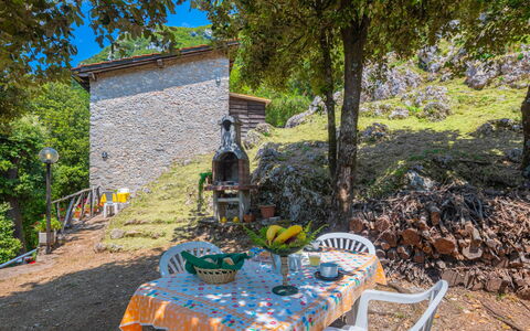 Vincio: Property, Tree, House, Cottage, Rural Area, Real Estate, Table, Home, Yard, Landscape