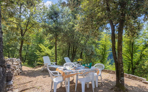 Vincio: Property, Nature, Tree, Real Estate, Table, Nature Reserve, Natural Environment, Furniture, Cottage, House