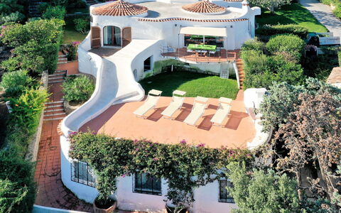 Hibiscus: Property, House, Building, Real Estate, Residential Area, Mansion, Estate, Home, Landscaping, Landscape