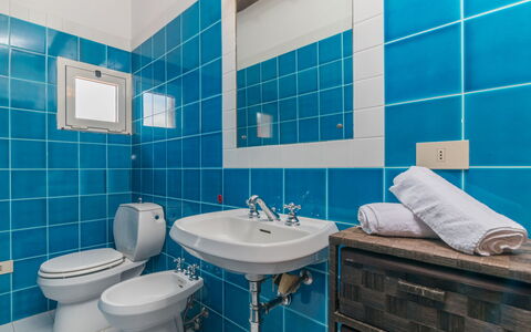 Spinnaker: Mirror, Plumbing Fixture, Sink, Property, Tap, Blue, Purple, Bathroom, Bathroom Sink, Toilet Seat