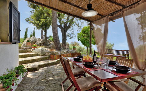 Ciuffini: Plant, Property, Table, Building, Tree, Interior Design, Sky, Shade, Outdoor Furniture, Chair