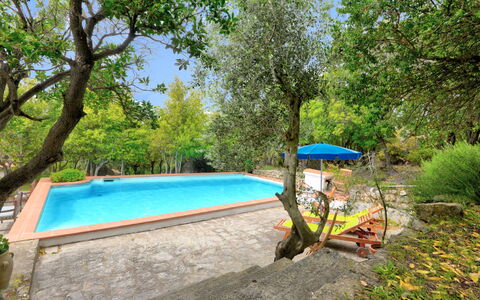 Ciuffini: Plant, Water, Swimming Pool, Tree, Shade, Outdoor Furniture, Sky, Landscape, Leisure, Grass