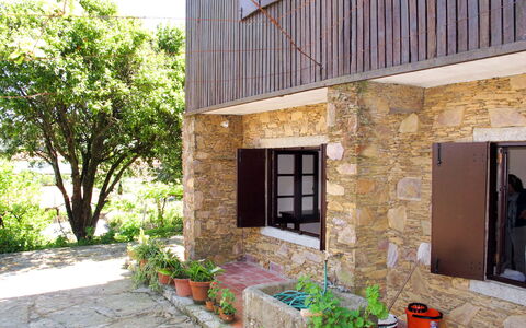 Senhor Do Socorro: Plant, Building, Property, Window, Flowerpot, Houseplant, Tree, Shade, Neighbourhood, Wall