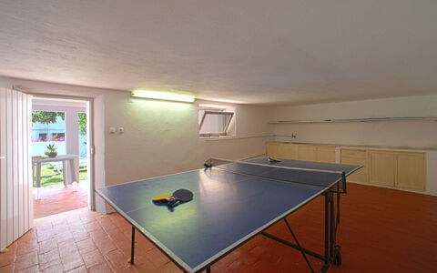 Azul: Furniture, Table, Window, Sports Equipment, Building, Table Tennis Racket, Chair, Hall, Wood, Floor