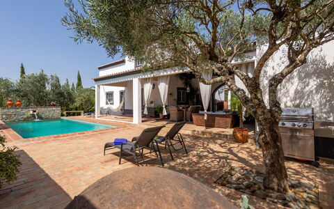 Quintal das Oliveiras: Plant, Property, Water, Sky, Shade, Building, Botany, Tree, Swimming Pool, Lighting