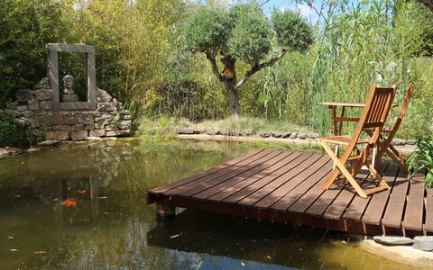 Quintal das Oliveiras: Water, Plant, Water Resources, Sky, Nature, Natural Landscape, Botany, Tree, Lake, Biome