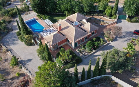 Montinho: Plant, Property, Building, Window, Tree, Urban Design, Land Lot, House, Landscape, Residential Area