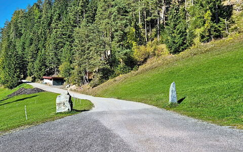 Radstadt 606: Grass, Tree, Road Surface, Road, Asphalt, Shrub, Thoroughfare, Groundcover, Mountain Pass