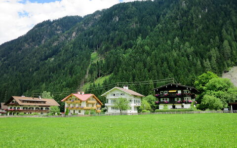Mayrhofen 686: Cloud, Plant, Mountain, Sky, Ecoregion, Green, Natural Landscape, Tree, House, Land Lot