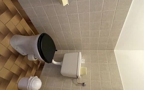 Wildschönau 650: Plumbing Fixture, Toilet, Bathroom, Interior Design, Flooring, Floor