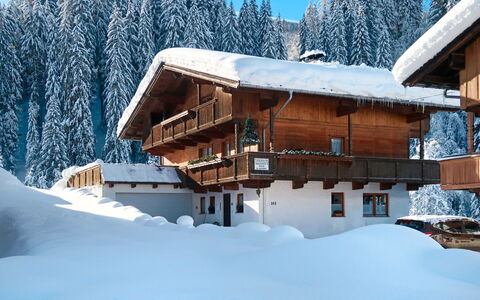 Wildschönau 664: Building, Sky, Snow, Tree, House, Slope, Wood, Branch, Window, Freezing