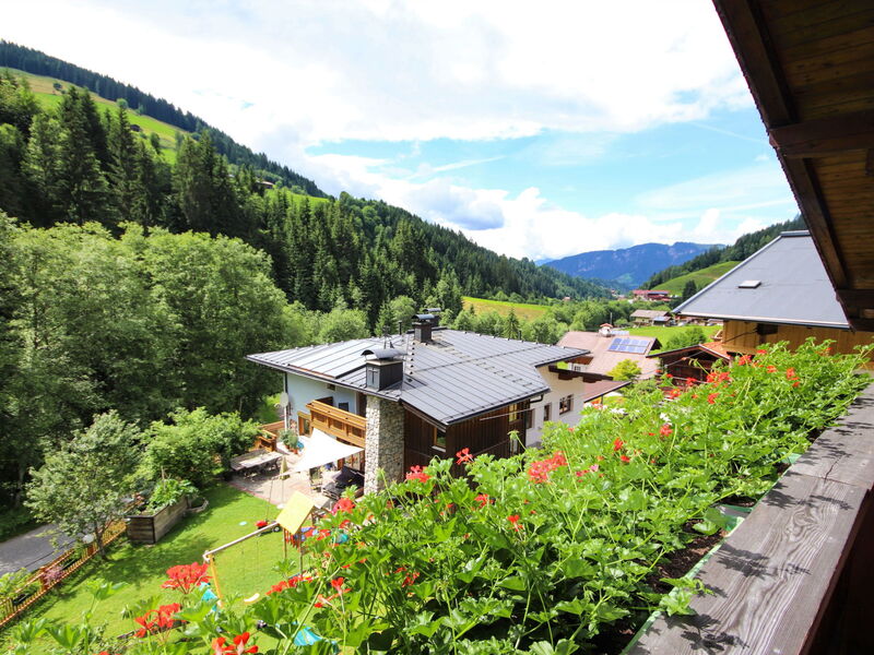 Wildschönau 664