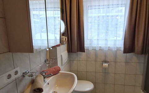 Prutz Kaunertal 658: Brown, Mirror, Plumbing Fixture, Tap, Sink, Bathroom Sink, Window, Curtain, Bathroom, Wood