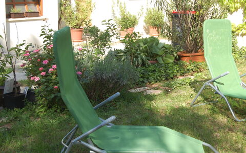 Mörbisch am See 603: Plant, Property, Window, Outdoor Furniture, Grass, Flower, Terrestrial Plant, Chair, Armrest, Shrub