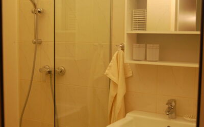 Hofgasse 603.3: Brown, Shower Head, Property, Plumbing Fixture, Sink, Shower Door, Bathroom Cabinet, Bathroom, Cabinetry
