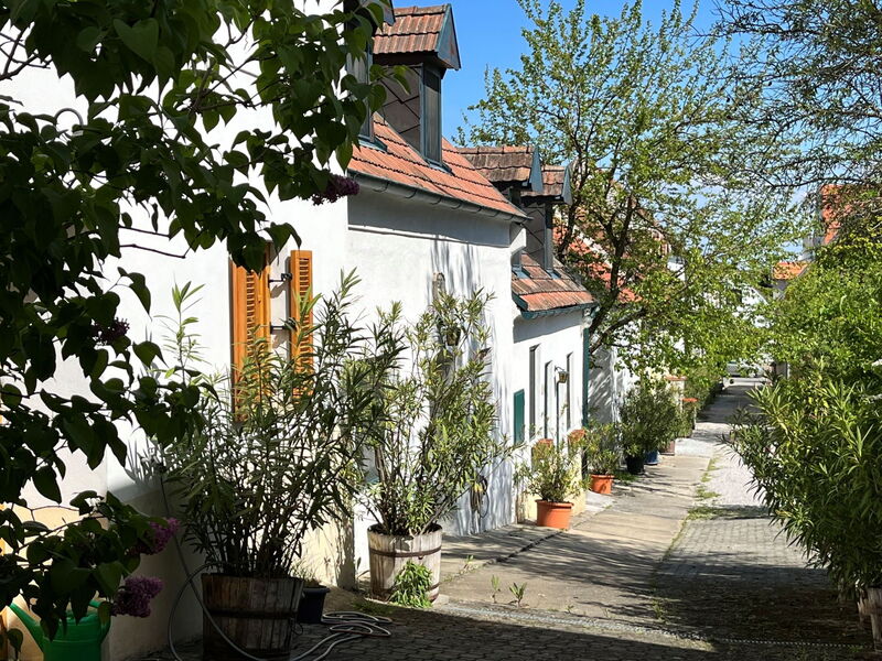 Mörbisch am See 603